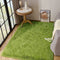 Noahas Fluffy Area Rug