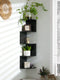 5-layer Wooden Corner Shelf Display Stand